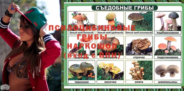 альфа пвп Орск