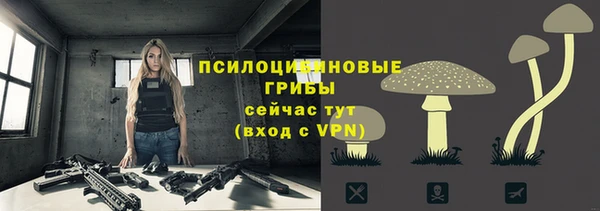 каннабис Великий Новгород