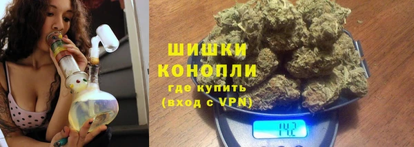 соль ск Козельск